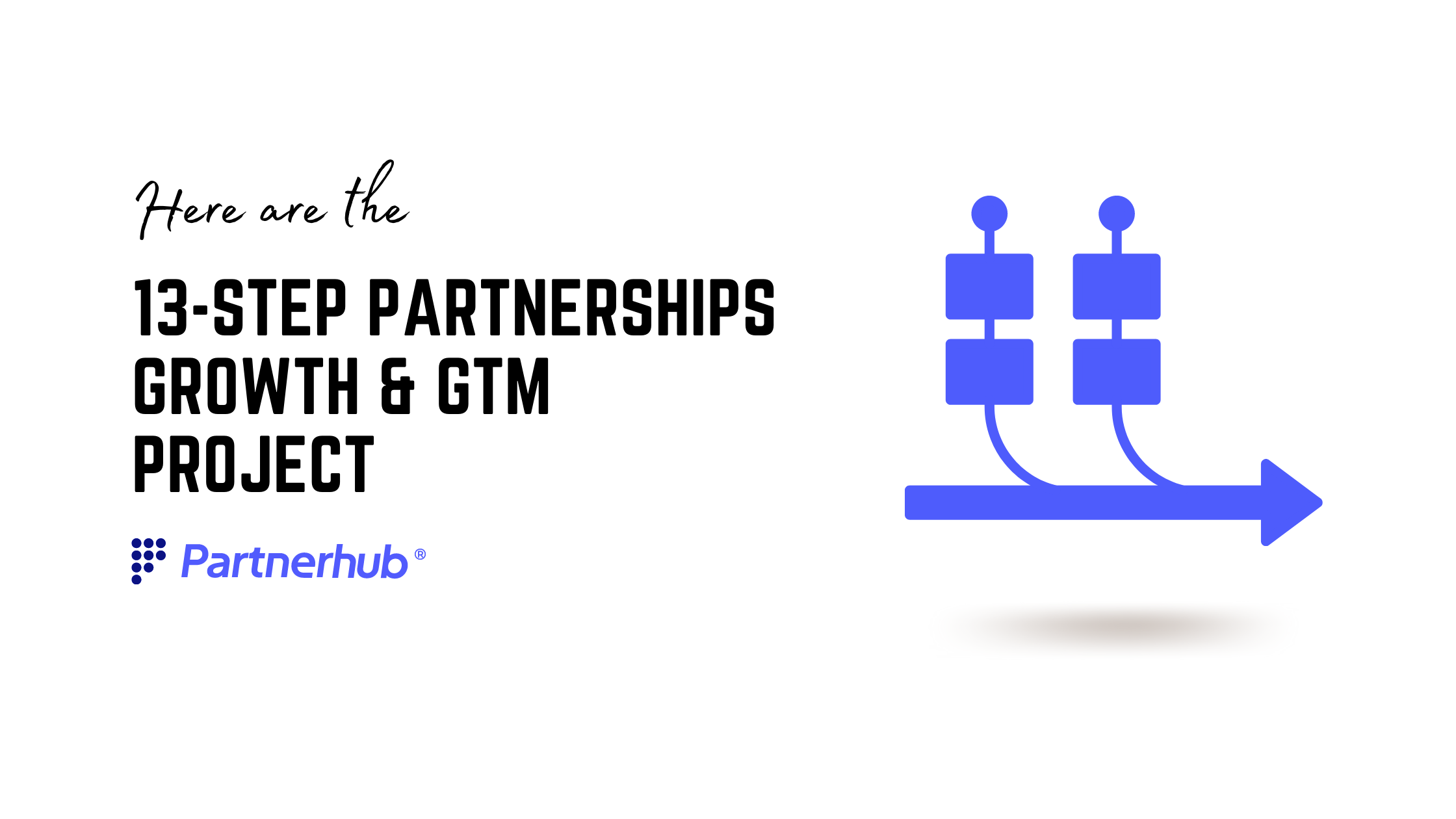 13-Step Partnerships Growth & GTM project